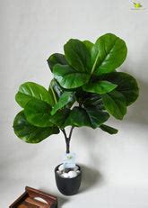 Blooming Floret Store