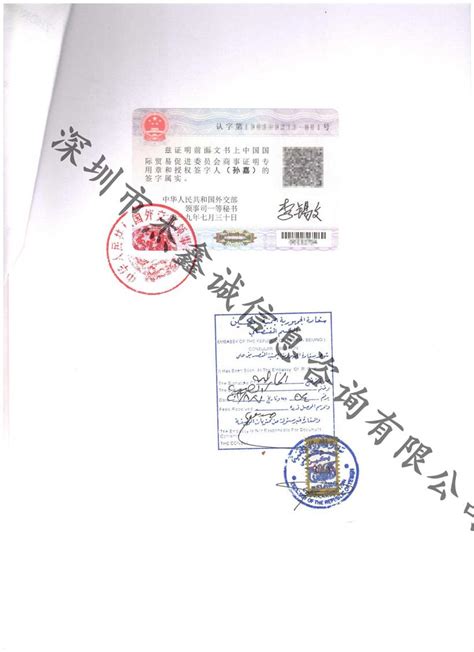 详解各国驻华使馆对签证照片要求-佳合签证