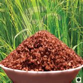 Traditional Rice – Food Care INDIA