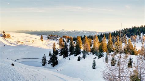 Download wallpaper 1366x768 spruce, trees, snow, snowy, mountains ...