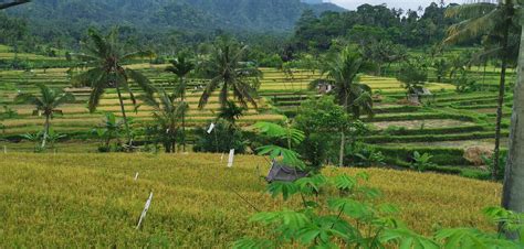 Bebandem Tourism (2024): All You Need to Know Before You Go