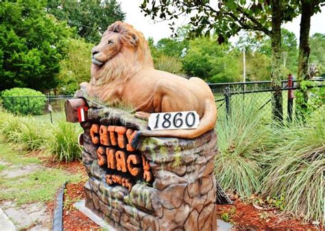 Catty Shack Ranch Wildlife Sanctuary, jacksonville, United States Of ...