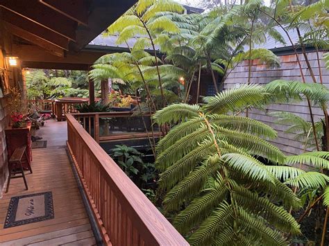 AT THE CRATERS EDGE (Volcano) - Specialty Inn Reviews, Photos, Rate ...