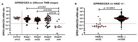 Prognostic Significance of GPR55 mRNA Expression in Colon Cancer
