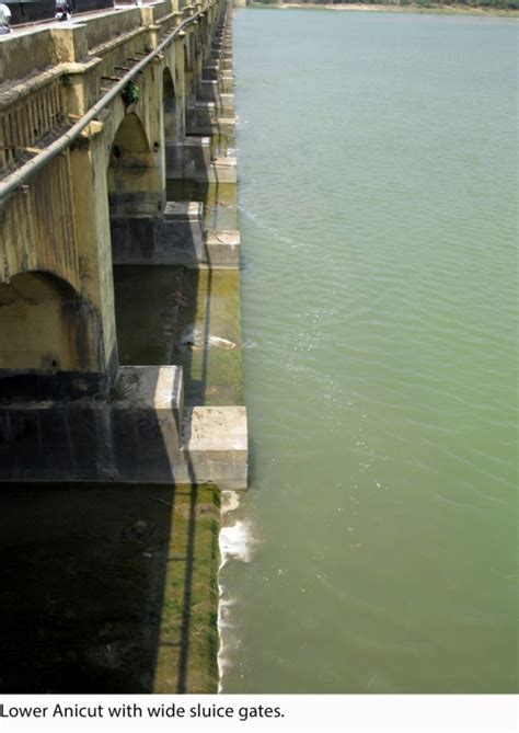 Fishing the Cauvery River: How Mettur changed it all – SANDRP