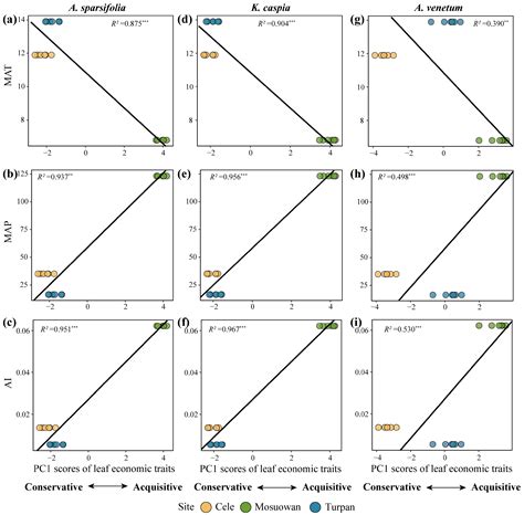 Vein Network and Climatic Factors Predict the Leaf Economic Spectrum of ...