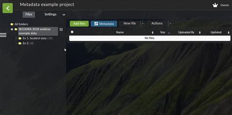 Image result for File Metadata Editor