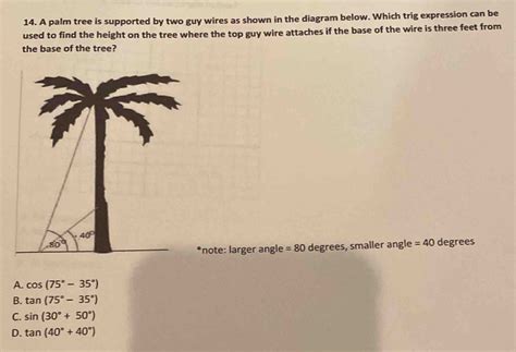 Solved: A palm tree is supported by two guy wires as shown in the ...