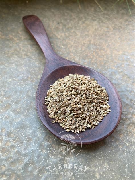 Carom Seeds Ajwain – Yarroway Farm