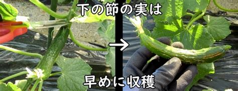 Image result for Geometry Lessons Fun