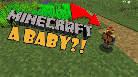 Image result for Java Minecraft Baby Avatar