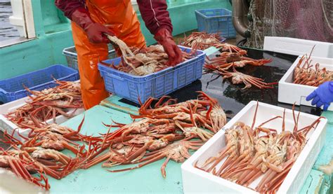 Taiza Crab Day Trips and Overnight Tours | Club Tourism