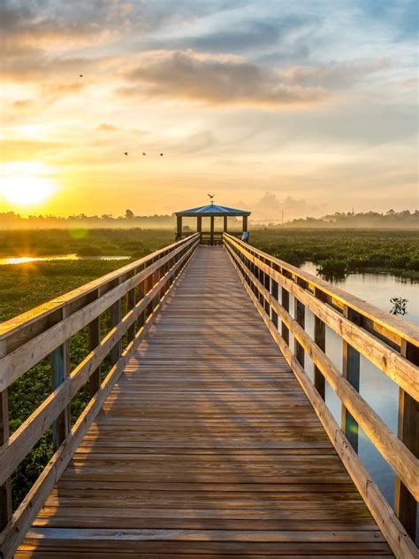 Alvis Miller & Son Funeral Home and Crematory