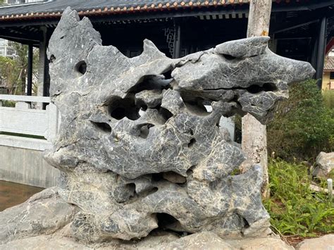 这种奇石的名字竟然是苏东坡命名的 - 华夏奇石网 - 洛阳市赏石协会官方网站