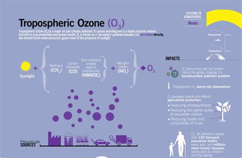 Indian Agriculture Needs an Ozone Pollution Mitigation Strategy | The ...