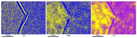 Characteristics and Formation Tendency of Freckle Segregation in ...