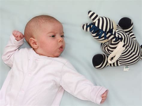 Labio y paladar hendidos (labio leporino y fisura palatina) | BabyCenter