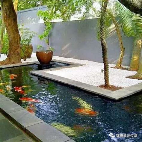 庭院小鱼池简单,庭院10平方小鱼池图片,庭院鱼池效果图_大山谷图库