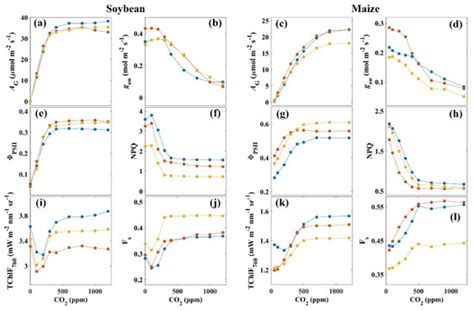 Far-Red Chlorophyll Fluorescence Radiance Tracks Photosynthetic Carbon ...