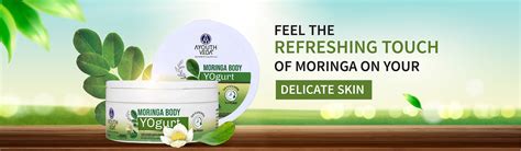 Moringa Body Yogurt for Dry Skin | Best yogurt for skin moisturising ...