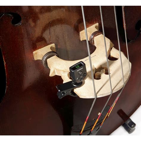 D'Addario NS Micro Universal Tuner : Amazon.in: Musical Instruments