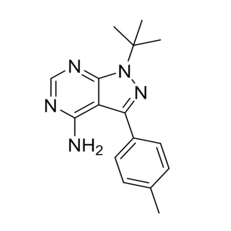 PP1 Learning 的图像结果