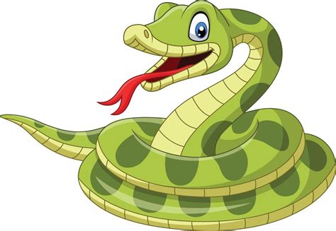 Image result for Flash Source Code