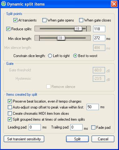 Image result for Reaper Dynamic Split