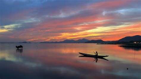 Information Technology Sector 的图像结果