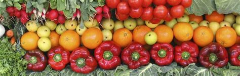 Want to lose weight and live healthy? Stop counting calories!