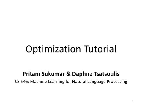 Optimization Tutorial 的图像结果