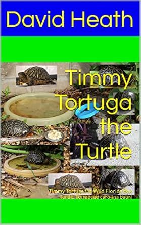 Timmy Tortuga the Turtle: Timmy Tortuga the Wild Florida Box Turtle ...