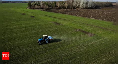Ukraine: Ukraine looks for ways to get its grain out - Times of India