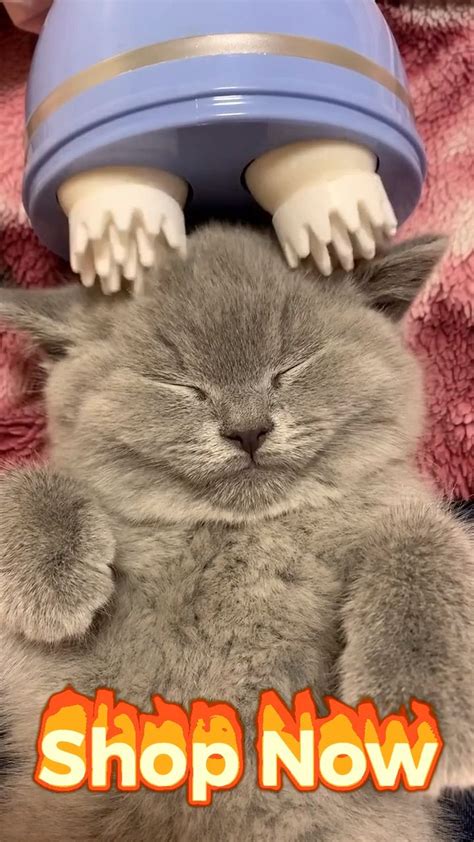 Image result for For Loop in Python in Vscode