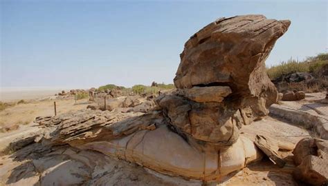 21 Surreal Places To Visit In Bhuj In 2025 For All Travelers!