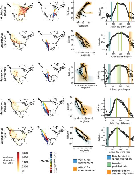 Image result for Hummingbird Migration Patterns