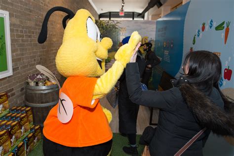 Honey Nut Cheerios Bee Costume