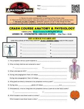 Image result for Crash Course Nervous System