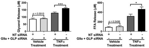 TNFα Effects on Adipocytes Are Influenced by the Presence of Lysine ...
