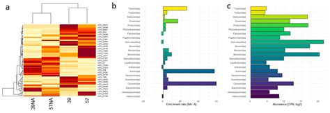 Viral Diversity in Benthic Abyssal Ecosystems: Ecological and ...