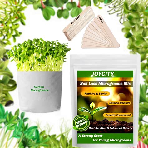 Joycity Microgreens Grow Kit – 500+ Radish Microgreen seeds with ...
