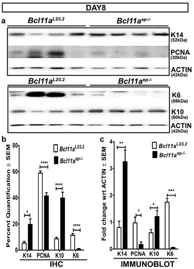 Cells | July-1 2022 - Browse Articles