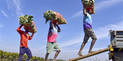 India's Troubled Relationship Between Capex, Infra-Growth and ...