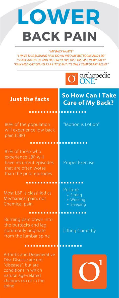 Image result for Lower Back Pain Chart