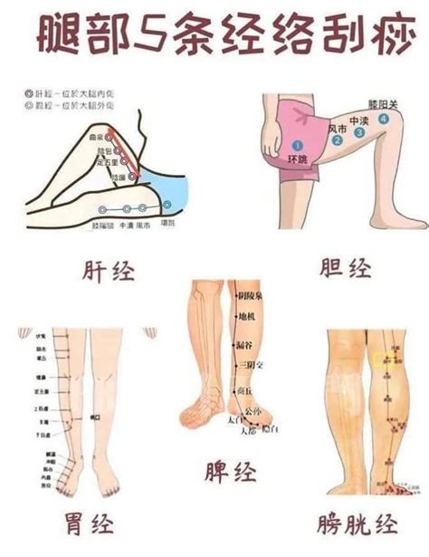 中醫經絡的終極秘密 - 每日頭條