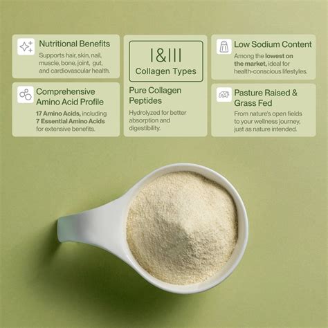 Powder vs Pills vs Liquid: Comparison of Collagen Supplement Forms