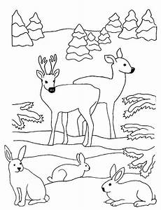 winterbilder malvorlagen hirsche und hasen im wald ausmalbild malvorlage winterbilder malvorlagen hirsche und hasen im wald ausmalbild malvorlage
