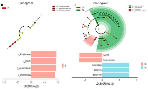 Comparative Analysis of Microbiota in Jiani Yaks with Different Rib Structures