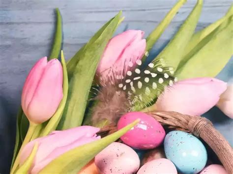 west ham: West Ham vs Everton: Kick-off time today, TV channel, live ...