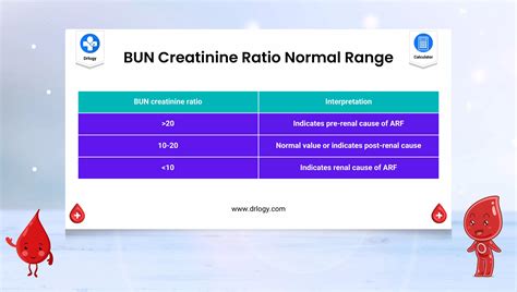 BUN Creatinine Ratio Calculator | Blood Urea Nitrogen | Drlogy